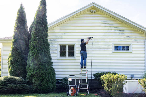 Local Pressure Washing Services in Aspen, CO